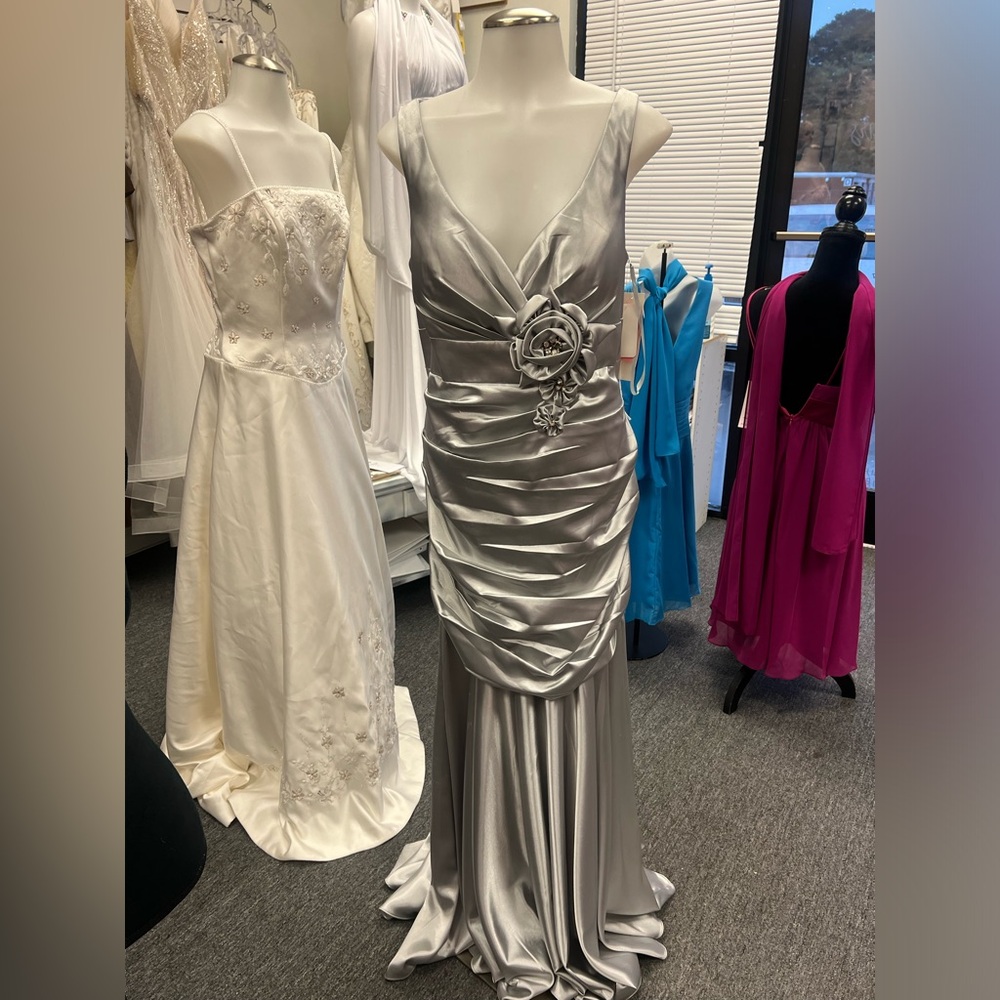 Silver Gown